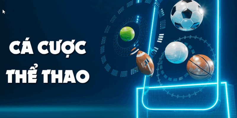 Các loại cược phổ biến trên thể thao Manclub
